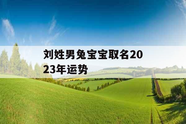 刘姓男兔宝宝取名2023年运势