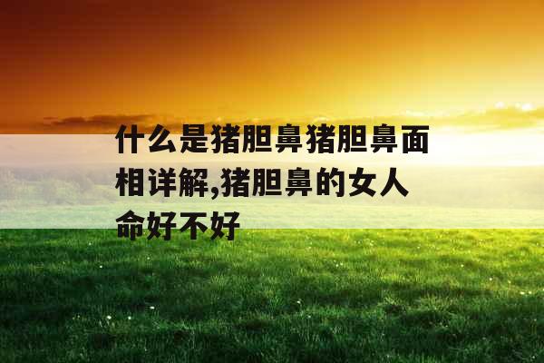 什么是猪胆鼻猪胆鼻面相详解,猪胆鼻的女人命好不好
