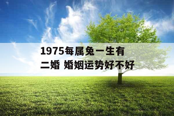 1975每属兔一生有二婚 婚姻运势好不好