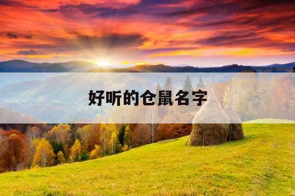 好听的仓鼠名字