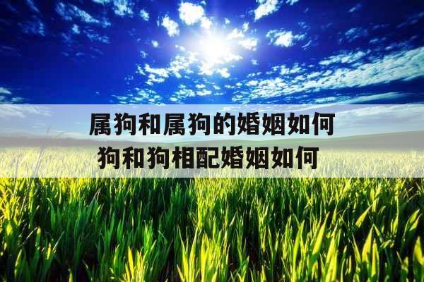 属狗和属狗的婚姻如何 狗和狗相配婚姻如何