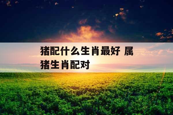 猪配什么生肖最好 属猪生肖配对