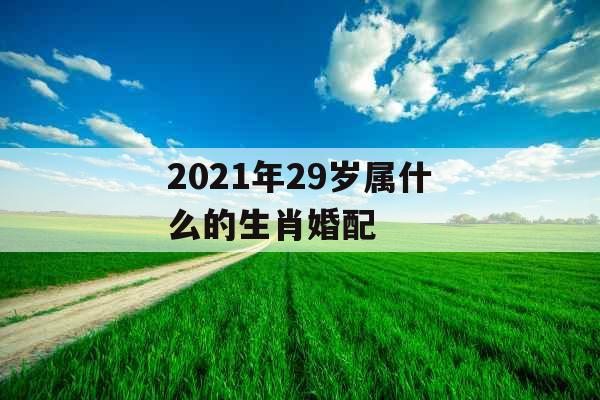 2021年29岁属什么的生肖婚配