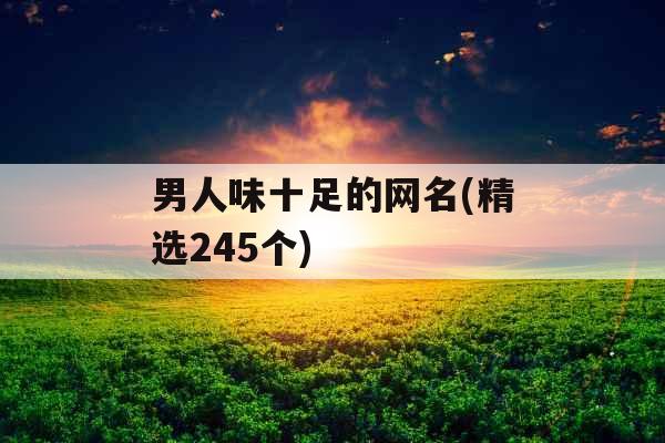 男人味十足的网名(精选245个)