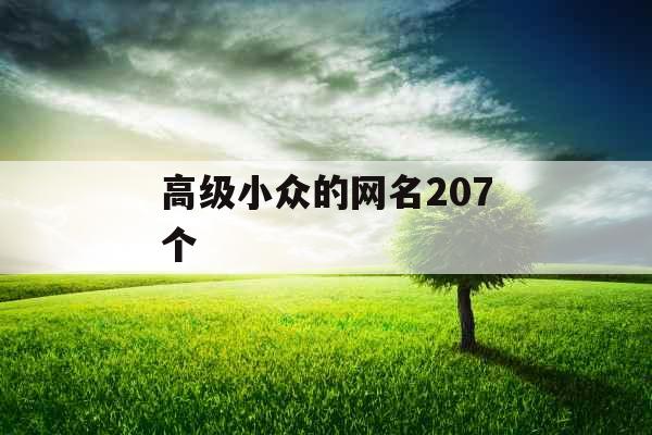高级小众的网名207个