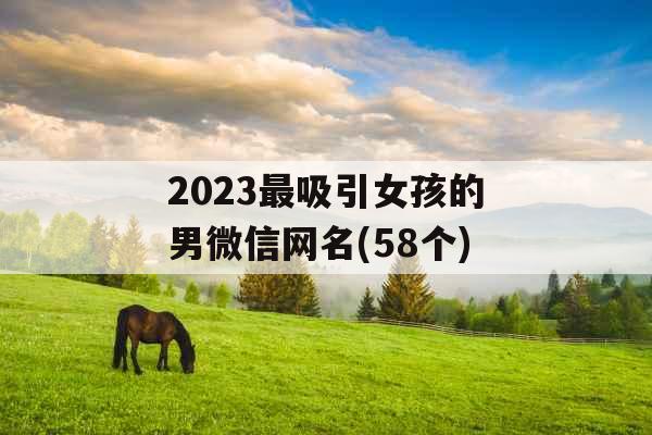 2023最吸引女孩的男微信网名(58个)
