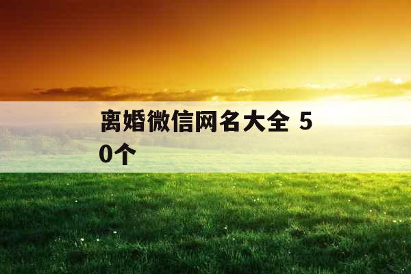 离婚微信网名大全 50个