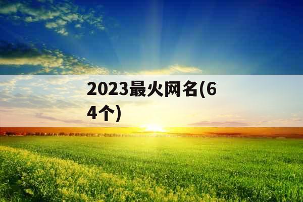 2023最火网名(64个)