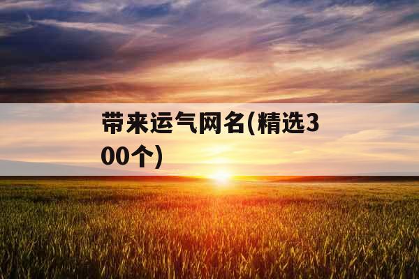 带来运气网名(精选300个)