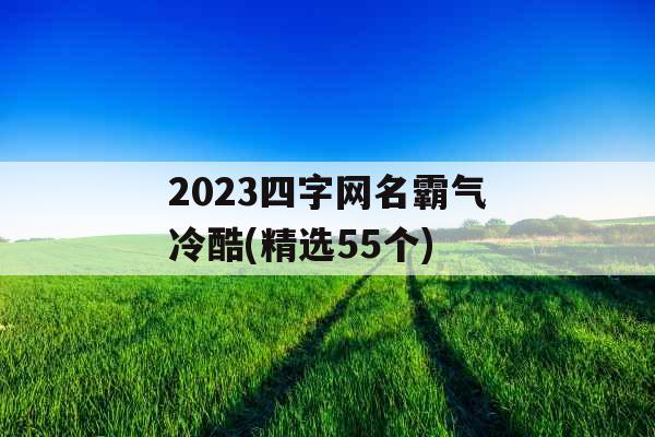2023四字网名霸气冷酷(精选55个)
