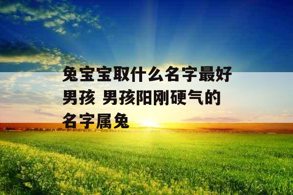 兔宝宝取什么名字最好男孩 男孩阳刚硬气的名字属兔 兔宝宝取什么名字最好男孩 男孩阳刚硬气的名字属兔