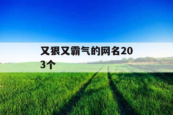 又狠又霸气的网名203个