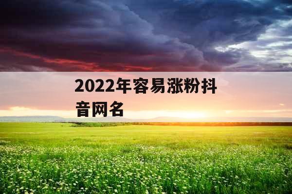 2022年容易涨粉抖音网名