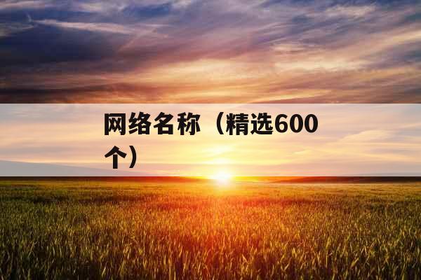 网络名称（精选600个）
