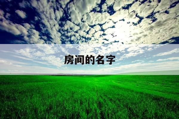 房间的名字 房间的名字