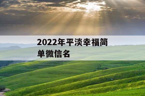 2022年平淡幸福简单微信名