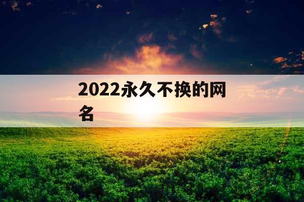 2022永久不换的网名 2022永久不换的网名
