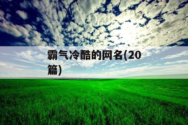 霸气冷酷的网名(20篇)