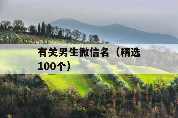 有关男生微信名（精选100个）