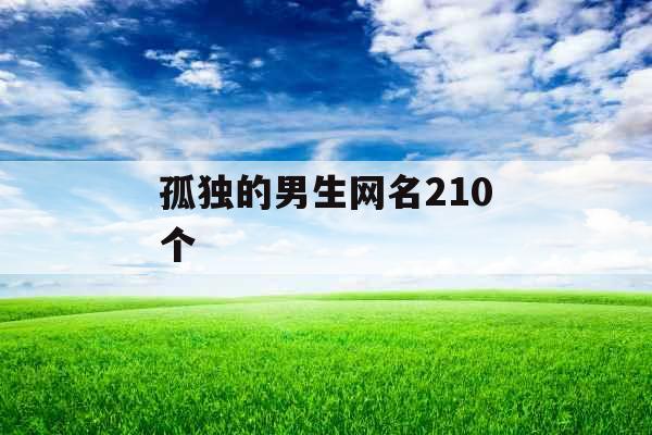 孤独的男生网名210个