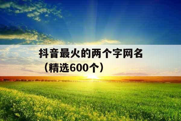 抖音最火的两个字网名(精选600个) 抖音最火的两个字网名(精选600个)