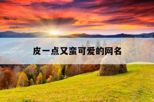 皮一点又蛮可爱的网名
