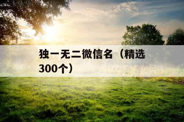 独一无二微信名(精选300个) 独一无二微信名(精选300个)
