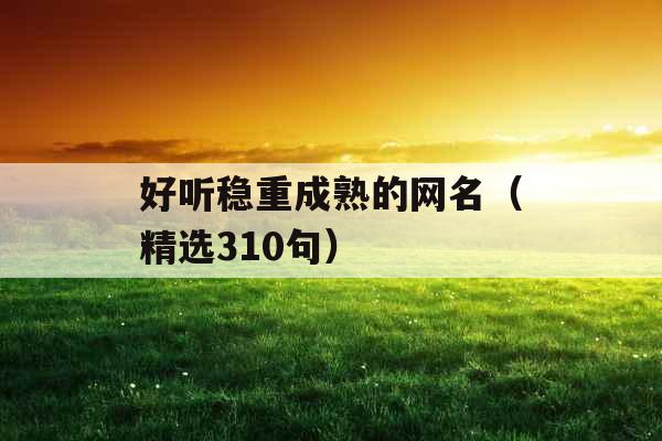 好听稳重成熟的网名(精选310句) 好听稳重成熟的网名(精选310句)
