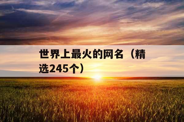 世界上最火的网名（精选245个）