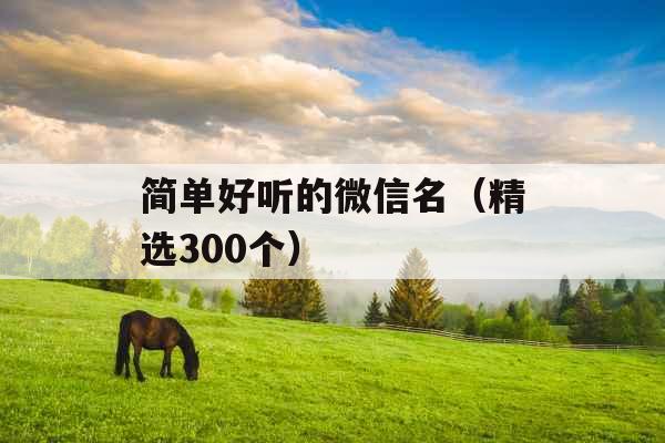 简单好听的微信名（精选300个）