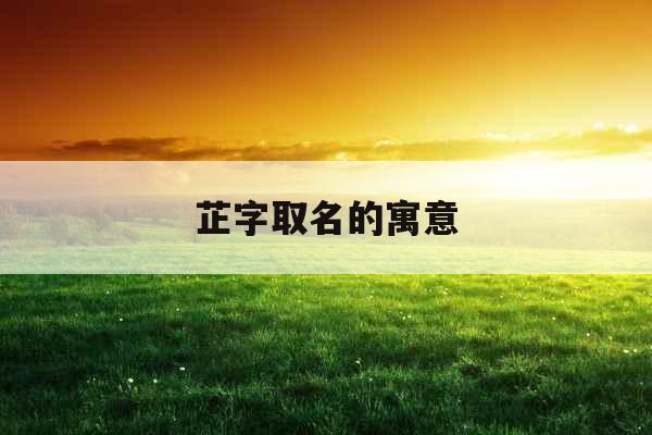 芷字取名的寓意