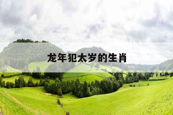 龙年犯太岁的生肖