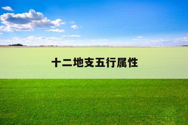 十二地支五行属性