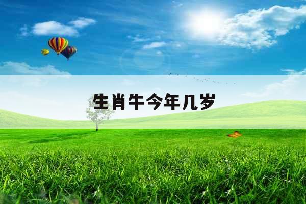 生肖牛今年几岁