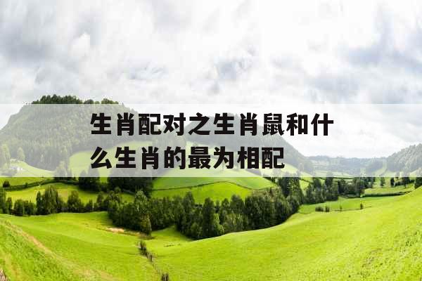 生肖配对之生肖鼠和什么生肖的最为相配