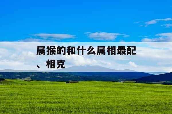 属猴的和什么属相最配、相克