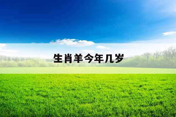 生肖羊今年几岁