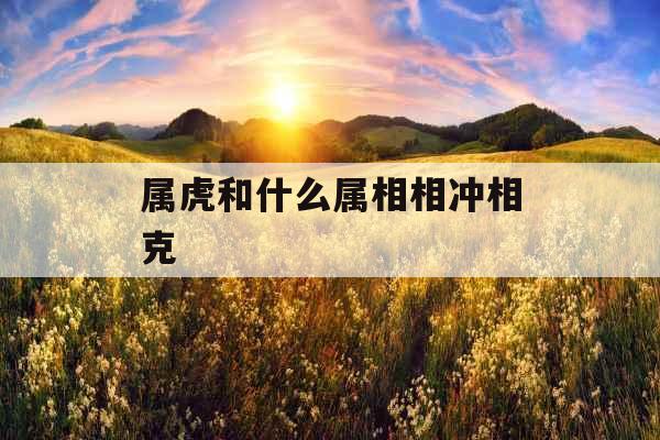 属虎和什么属相相冲相克