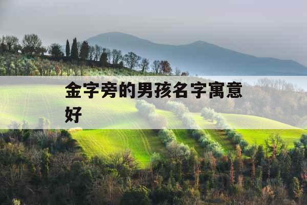 金字旁的男孩名字寓意好