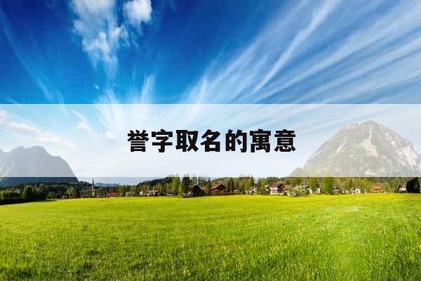 誉字取名的寓意
