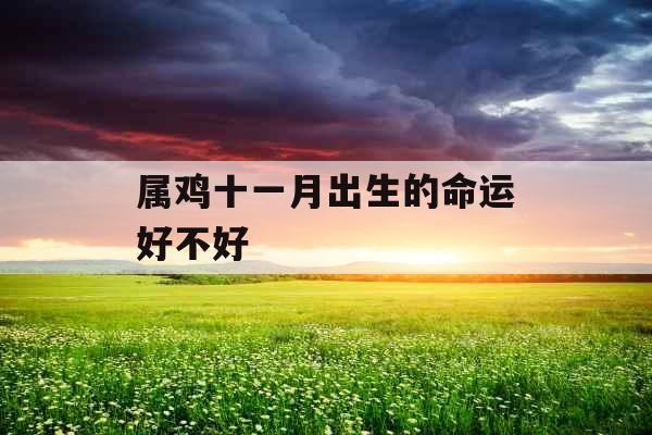属鸡十一月出生的命运好不好