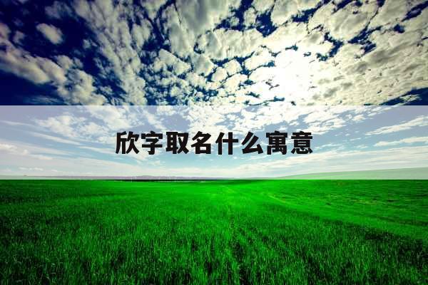 欣字取名什么寓意