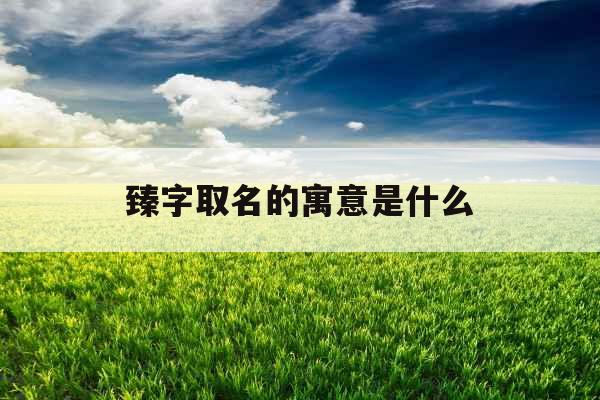 臻字取名的寓意是什么