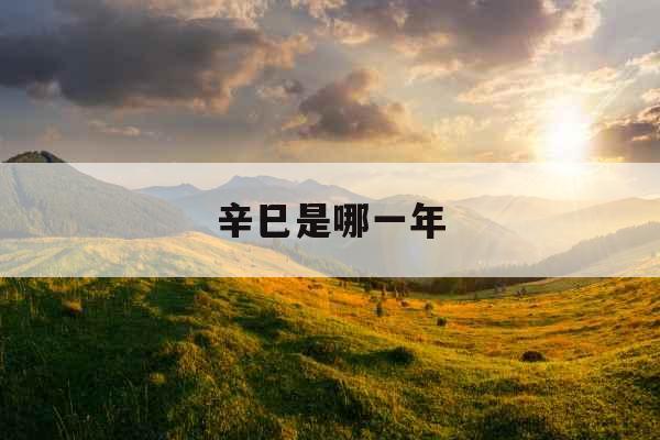 辛巳是哪一年