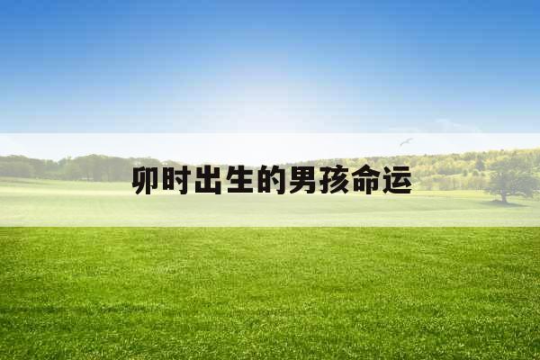 卯时出生的男孩命运