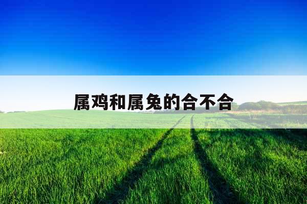 属鸡和属兔的合不合