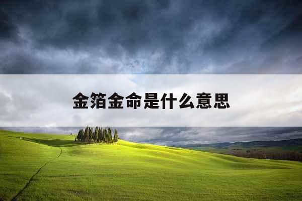 金箔金命是什么意思
