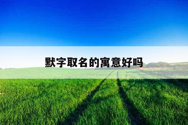 默字取名的寓意好吗