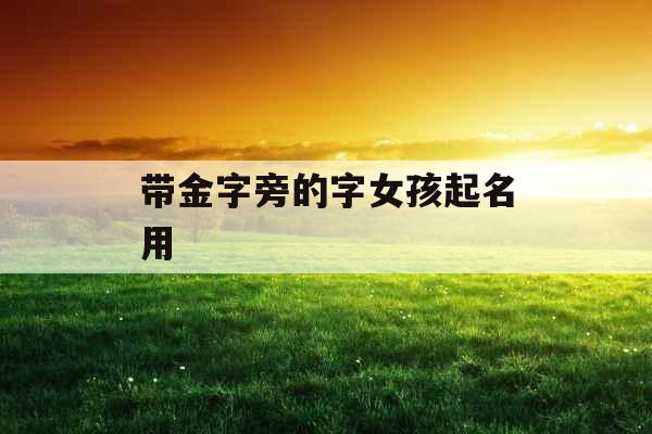 带金字旁的字女孩起名用