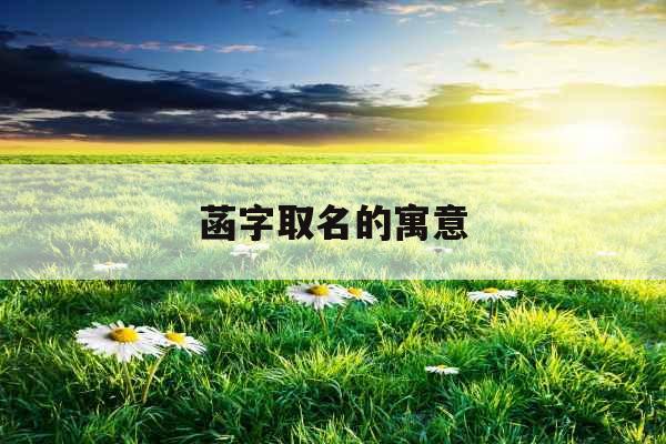 菡字取名的寓意